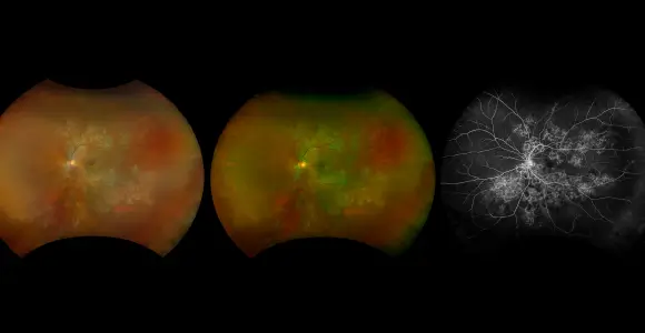 clical paper thumbnail image