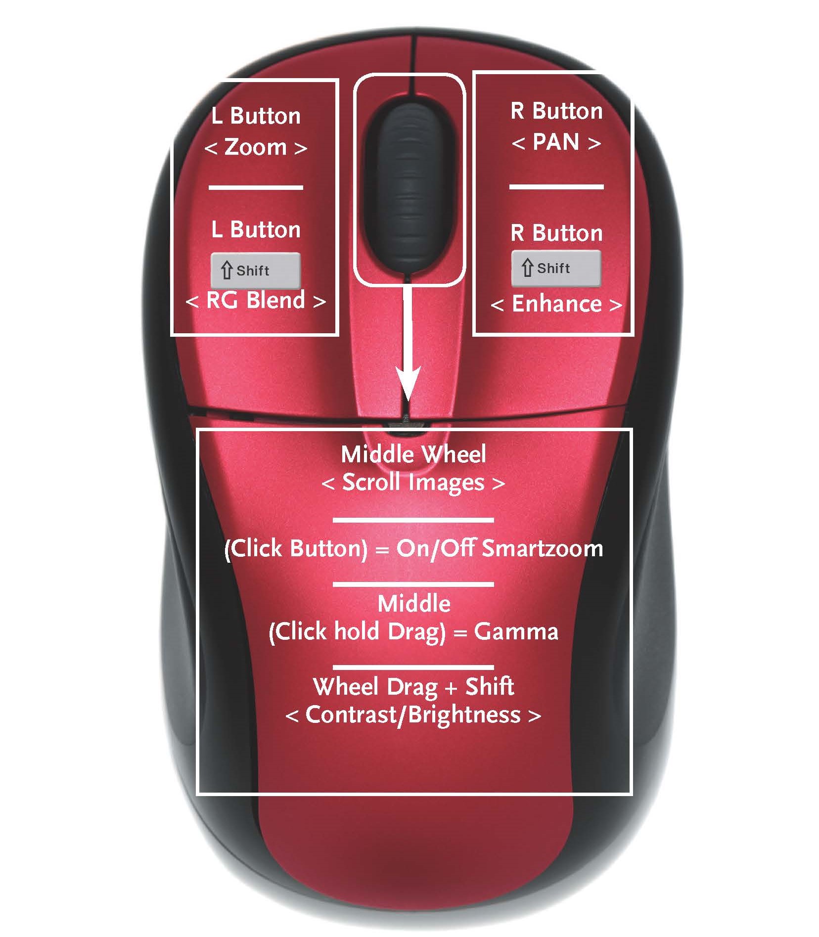 OA Mouse Instructions